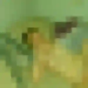 Bianca, 31 ans, veut un plan cul à Rennes