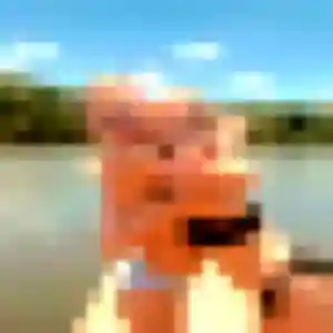 Jihane (33 ans) à Rethel attend un plan cul ce soir