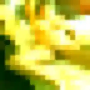 Imane, femme de 31 ans propose plan cul à Rezé