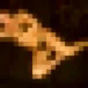 Clara, femme de 21 ans veut plan cul à Roanne