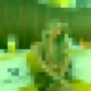 Photo sexy de Marie-France, 32 ans à Roche-la-Molière - rencontre sans lendemain