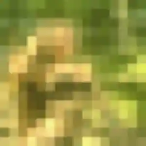 Photo sexy de Ghislaine, 19 ans à Rombas - rencontre sans lendemain