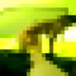 Axelle, 19 ans, en ligne à Roquefort-les-Pins pour un plan cul