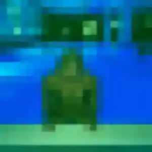 Profil de Amira à Roquevaire (22 ans) - plan cul sans inscription