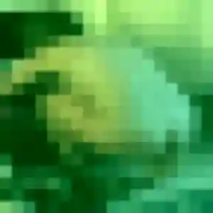 Photo privée de Elena, 34 ans à Roquevaire - rencontre sans lendemain