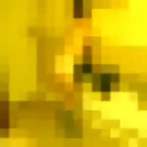 Yannick, fille de 32 ans propose plan cul à Roubaix