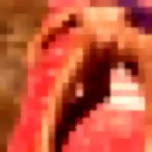 Photo exclusive de Elise, 42 ans à Sablé-sur-Sarthe - rencontre sans lendemain