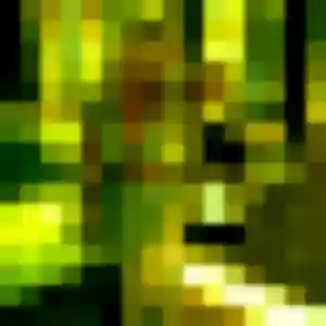 Delphine (36 ans) à Sainghin-en-Weppes cherche une rencontre maintenant