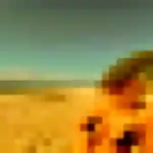 Ines de Saint-Affrique, 29 ans - plan cul sans lendemain