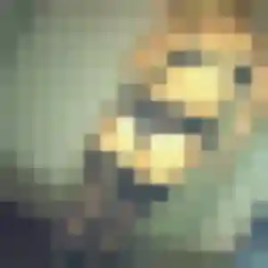 Catherine, femme de 23 ans veut plan cul à Saint-Amand-les-Eaux