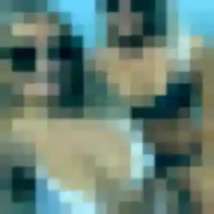 Belle Prisca, 26 ans à Saint-André-de-Cubzac - découvrir son profil