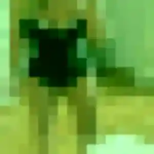 Profil de Coralie à Saint-André-de-la-Roche (26 ans) - plan cul sans inscription