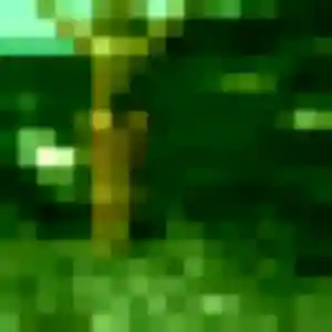 Mathilde (42 ans) à Saint-André-des-Eaux attend une rencontre rapidement