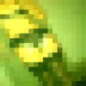 Zelda, 31 ans, en ligne à Saint-André-des-Eaux pour un plan cul