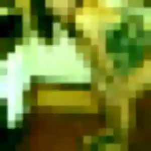 Contacte Ketty, 44 ans à Saint-André-les-Vergers gratuitement