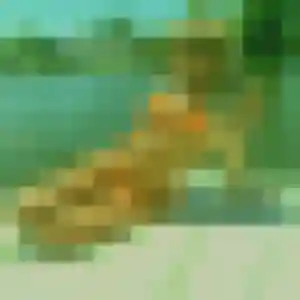 Photo privée de Theresa, 24 ans à Saint-André-les-Vergers - rencontre coquine