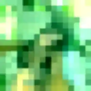 Belle Elise, 20 ans à Saint-André-lez-Lille - voir sa photo