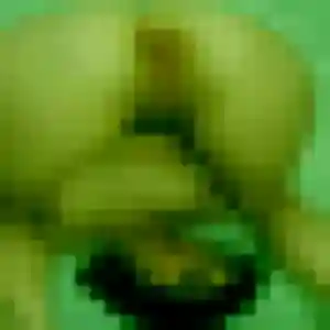 Juliette, 35 ans, dispo pour plan cul à Saint-Benoît