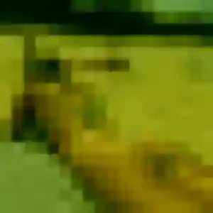 Photo perso de Elena, 37 ans à Saint-Brevin-les-Pins - rencontre sans lendemain