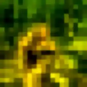 Contacte Florence, 25 ans à Saint-Brevin-les-Pins en t'inscrivant