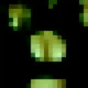 Brunehilde, femme de 22 ans veut plan cul à Saint-Clément-de-Rivière