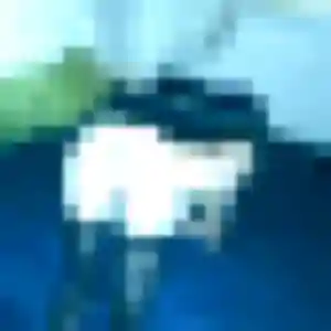 Solene (21 ans) à Saint-Cyr-l'École attend une rencontre rapidement