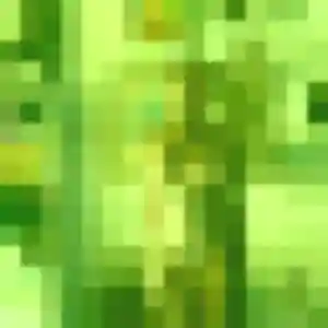 Wilhelmine, fille de 23 ans cherche plan cul à Saint-Cyr-l'École