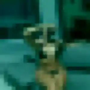 Rencontre Eglantine, 32 ans à Saint-Denis-de-Pile gratuitement