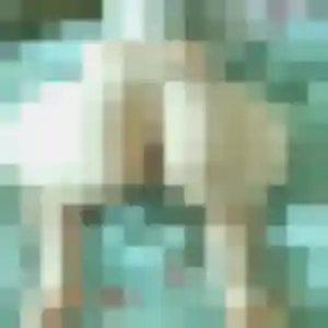 Muriel (21 ans) à Saint-Didier-au-Mont-d'Or attend un plan cul rapidement