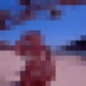 Caroline (29 ans) à Saint-Dié-des-Vosges cherche une rencontre maintenant