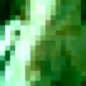 Profil de Sofia à Saint-Dié-des-Vosges (44 ans) - plan cul discret