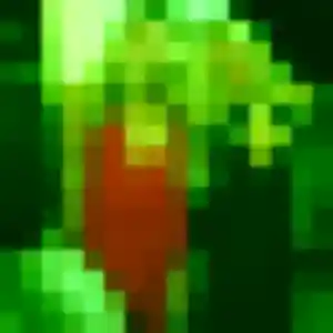 Photo exclusive de Anne-Laure, 28 ans à Saint-Estève - rencontre sans lendemain