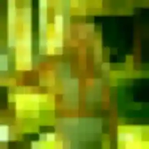 Rencontre Tatyana, 23 ans à Saint-Étienne en t'inscrivant