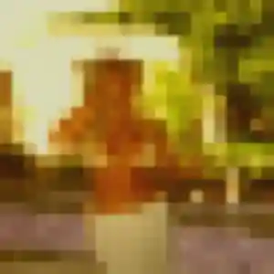 Sexy Viviane, 37 ans à Saint-Fargeau-Ponthierry - voir sa photo