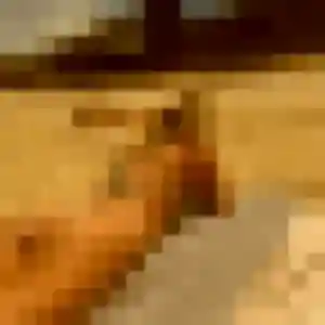 Eliane, femme de 40 ans veut plan cul à Saint-Gaudens