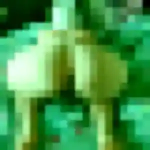 Romane (36 ans) à Saint-Gaudens cherche une rencontre ce soir