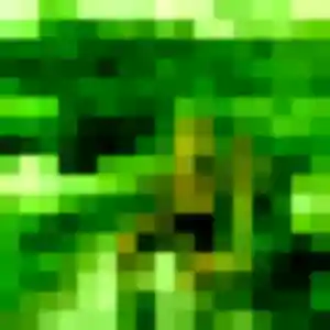 Anne-Sophie (39 ans) à Saint-Genest-Lerpt attend une rencontre ce soir