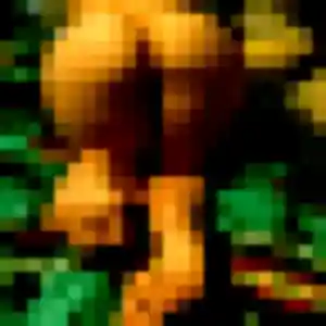 Regine, femme de 41 ans veut plan cul à Saint-Germain-en-Laye