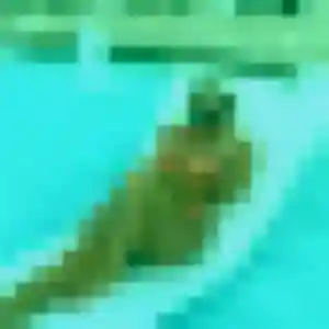 Sandrine de Saint-Gilles, 25 ans - plan cul en toute liberté