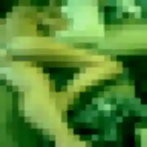 Découvre Elise, 34 ans à Saint-Gilles en privé