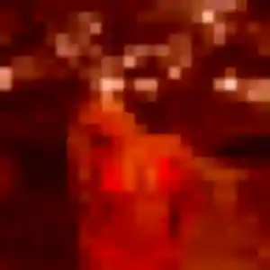 Découvre Lina, 31 ans à Saint-Gilles-Croix-de-Vie en t'inscrivant