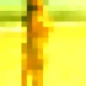 Tania, femme de 45 ans propose plan cul à Saint-Gilles-Croix-de-Vie