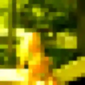 Photo sexy de Dorothee, 25 ans à Saint-Hilaire-de-Riez - rencontre sans lendemain