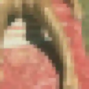 Photo de Nicole à Saint-Ismier (41 ans) - plan cul sans inscription