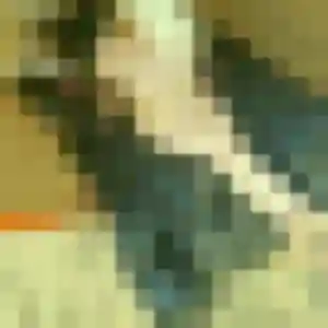 Photo de Yasmina à Saint-Ismier (25 ans) - plan cul gratuit