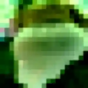 Nelly, 27 ans, dispo pour plan cul à Saint-Jacques-de-la-Lande