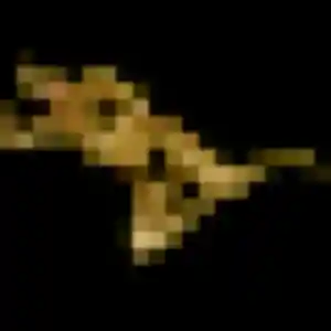 Coralie, fille de 42 ans cherche plan cul à Saint-Jean-d'Angély