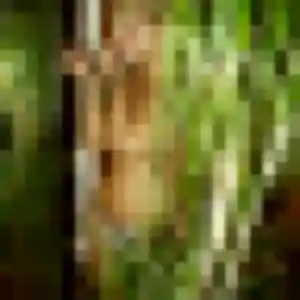 Harmony, fille de 22 ans cherche plan cul à Saint-Jean-de-Védas