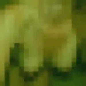 Sofia de Saint-Julien-en-Genevois, 31 ans - plan cul sans lendemain