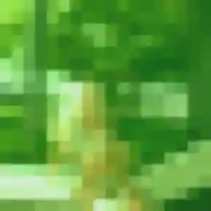 Photo perso de Justine, 20 ans à Saint-Leu - rencontre coquine